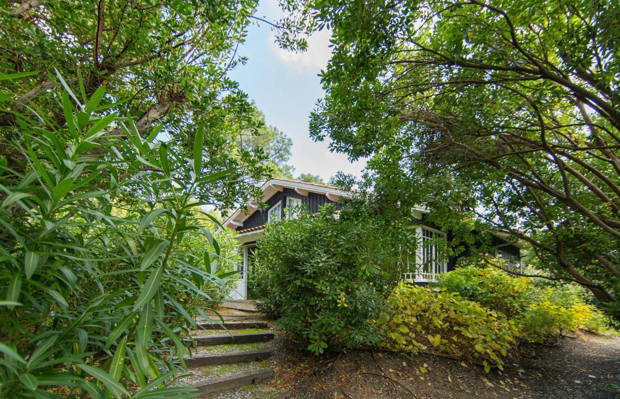 Villa Lolita Pour 6 Pers Au Cap Ferret Lège-Cap-Ferret Exterior foto